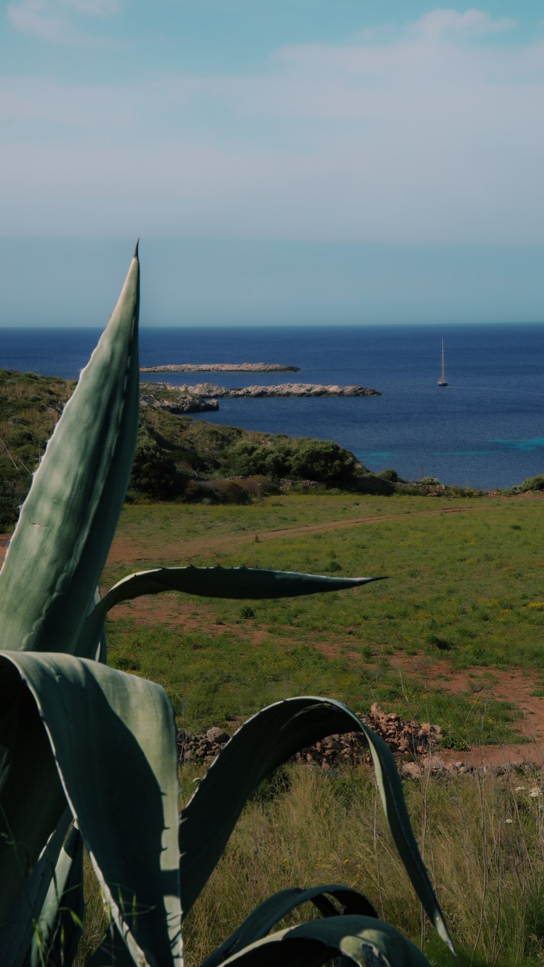 Arrivo via mare — agave verso il Preveto
